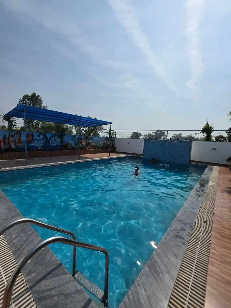 The outdoor swimming pool with a shade canopy and painted mural wall.